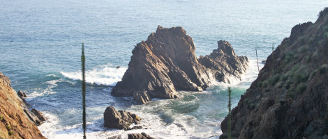 Melaque-Mexico-Victoria-2015-012