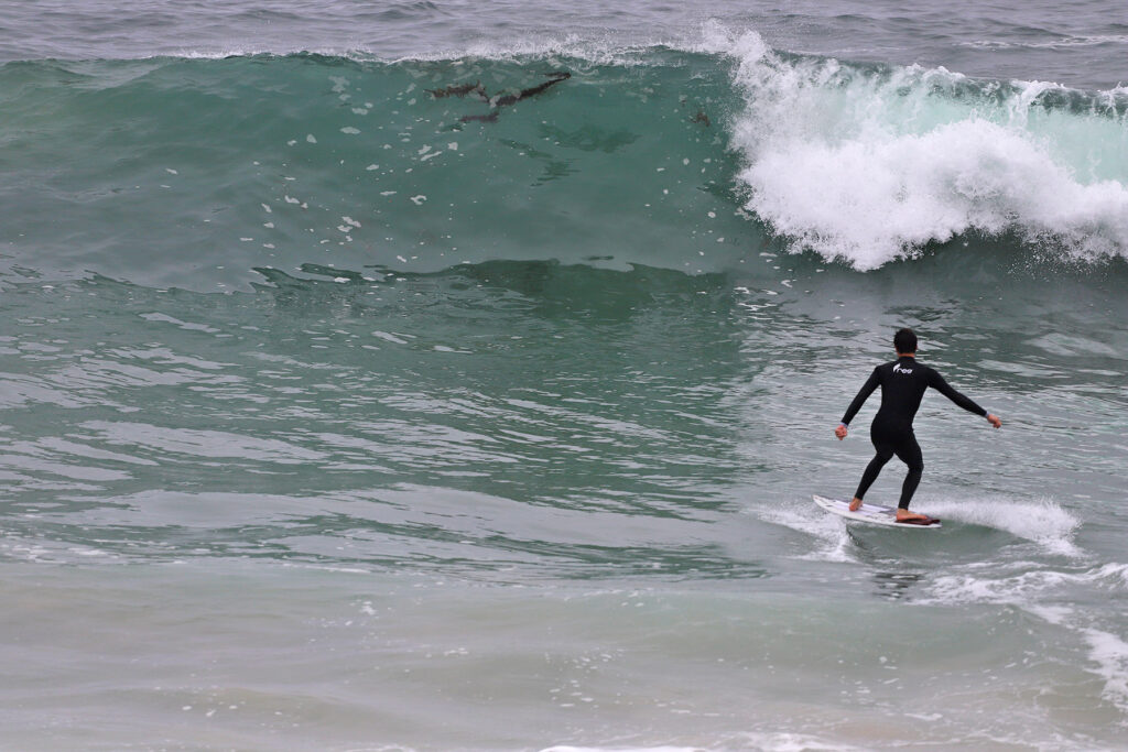 PREMIER SKIM LEAGUE CONTEST AT ALISO